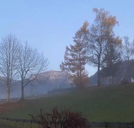 Schneerosenbluete, Oberstaufen/steibis Oberstaufen